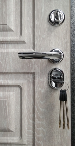 СЕЙФ-ДВЕРЬ "АРГУС ДА 91 ФИЛАДЕЛЬФИЯ ГРЕЙ" 1